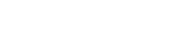 Zattini